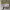 https://res.cloudinary.com/billionhands/image/upload/v1781759324/items/uxpfvgimlkzrpj8n8yny.jpg-0cover