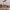 https://res.cloudinary.com/billionhands/image/upload/v1781760109/items/x6jg60olnhuxdfnnaebl.jpg-2cover