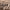 https://res.cloudinary.com/billionhands/image/upload/v1781760109/items/znvtvjx83i6fp39yy2ya.jpg-1cover