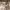 https://res.cloudinary.com/billionhands/image/upload/v1781760110/items/nr8ilwhfehbh2zbegycs.webp-0cover