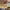https://res.cloudinary.com/billionhands/image/upload/v1781760111/items/ischvpxfoaxhtbw75bcx.avif-3cover