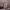 https://res.cloudinary.com/billionhands/image/upload/v1781760111/items/rxdwjmppui3rcr1iudwp.webp-2cover