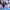 https://res.cloudinary.com/billionhands/image/upload/v1781760756/items/t6qnjdnomqgoepbthvo7.jpg-3cover