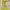 https://res.cloudinary.com/billionhands/image/upload/v1781767359/items/xfhqgvz4zm0u36gqy79j.jpg-0cover