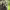 https://res.cloudinary.com/billionhands/image/upload/v1781767650/items/oth88pye3liytppw5ytb.webp-3cover