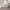 https://res.cloudinary.com/billionhands/image/upload/v1781768024/items/qfmzkgij1dl0cknstp4s.webp-2cover