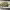 https://res.cloudinary.com/billionhands/image/upload/v1781768520/items/svf9o5ivl43xsnxfyeei.jpg-2cover