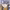 https://res.cloudinary.com/billionhands/image/upload/v1781768542/items/vzyzqhnjwfgwr4y0gjzj.webp-2cover