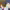 https://res.cloudinary.com/billionhands/image/upload/v1781768546/items/a2rjv2s3wb9r1xt3mkwv.webp-3cover