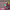 https://res.cloudinary.com/billionhands/image/upload/v1781770047/items/atf59m0tqvd7nvmu9x21.jpg-3cover