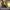 https://res.cloudinary.com/billionhands/image/upload/v1781770534/items/ap5nokheg15ugtmvvzt0.webp-1cover