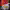 Criterion Collection: Tres películas de Leos Carax cover