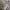 https://res.cloudinary.com/billionhands/image/upload/v1781772361/items/rgpnwuk2urqpnp0cfkmq.jpg-3cover