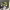 https://res.cloudinary.com/billionhands/image/upload/v1781774206/items/t4gme6goxudhujjxfx68.webp-3cover