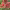 https://res.cloudinary.com/billionhands/image/upload/v1781776639/items/qczn1f0qho3mkjd3kpzt.jpg-3cover