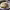 https://res.cloudinary.com/billionhands/image/upload/v1781778189/items/uzrpfdb84ledxdyyccyp.jpg-0cover