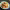 https://res.cloudinary.com/billionhands/image/upload/v1781778195/items/nrpjoqbgdnkyfew2xwn0.jpg-0cover