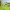 https://res.cloudinary.com/billionhands/image/upload/v1781780550/items/znlsarfjwpopwo36wcfd.jpg-1cover