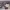 https://res.cloudinary.com/billionhands/image/upload/v1781782559/items/vxnkist6hudsqyggdu3y.jpg-3cover