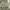 https://res.cloudinary.com/billionhands/image/upload/v1781788101/items/oxkxravi7v8llxzppmox.webp-2cover