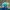 https://res.cloudinary.com/billionhands/image/upload/v1781788629/items/t3zzicwfoyzda7stn7hl.jpg-2cover