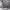 https://res.cloudinary.com/billionhands/image/upload/v1781789375/items/v3akubfvvtetkj6sgq3z.png-2cover