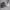 https://res.cloudinary.com/billionhands/image/upload/v1781791118/items/kmxrhck17plbbey1fpa1.jpg-2cover