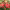 https://res.cloudinary.com/billionhands/image/upload/v1781791232/items/vwwp2scnjbhdimtk3sle.jpg-2cover