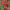 https://res.cloudinary.com/billionhands/image/upload/v1781791233/items/vrnmddgz4eohv0kazrc0.webp-3cover