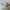 https://res.cloudinary.com/billionhands/image/upload/v1781792874/items/mdceyesxlxelzrrdymv3.avif-0cover