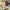 https://res.cloudinary.com/billionhands/image/upload/v1781793678/items/zhnvp78z60gso86vtwdy.jpg-3cover