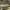 https://res.cloudinary.com/billionhands/image/upload/v1781796083/items/pv8l9ygucamg93ivvief.jpg-2cover