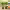 https://res.cloudinary.com/billionhands/image/upload/v1781799542/items/l0oszmhhn5labq6doofp.webp-2cover