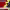 https://res.cloudinary.com/billionhands/image/upload/v1781802480/items/lm0danm0kitpgtapukq9.jpg-2cover