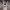 https://res.cloudinary.com/billionhands/image/upload/v1781803480/items/qekomx0jvdflkz7s8xoa.avif-1cover