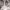 https://res.cloudinary.com/billionhands/image/upload/v1781803758/items/it2xcp9nuxo9s3iyna5t.jpg-3cover
