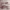 https://res.cloudinary.com/billionhands/image/upload/v1781804199/items/yv4vq0zrk2gd5yrgyiae.jpg-1cover