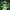 https://res.cloudinary.com/billionhands/image/upload/v1781806177/items/c1cayxonv5g4hg20vrwr.jpg-3cover