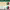 https://res.cloudinary.com/billionhands/image/upload/v1781807223/items/xduocn016wwm8afghyte.jpg-2cover