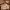 https://res.cloudinary.com/billionhands/image/upload/v1781809797/items/zjtqrlf2lb9ykygipl2s.webp-2cover