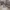 https://res.cloudinary.com/billionhands/image/upload/v1781810850/items/ndkca4k96zzsr9otofsf.webp-3cover