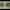 https://res.cloudinary.com/billionhands/image/upload/v1781810974/items/r90cyyyxv9dqqap8ghfw.jpg-2cover