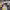 https://res.cloudinary.com/billionhands/image/upload/v1781811435/items/omyk5taqrdvpq74upzeq.jpg-2cover
