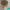 https://res.cloudinary.com/billionhands/image/upload/v1781811994/items/wnlixp0mace2358dbjcm.webp-1cover