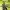https://res.cloudinary.com/billionhands/image/upload/v1781812742/items/rzogouce6ouoao1swloo.jpg-1cover