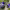 https://res.cloudinary.com/billionhands/image/upload/v1781812748/items/pc5d3oqkutxa4hiiljcg.jpg-3cover