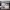 https://res.cloudinary.com/billionhands/image/upload/v1781814723/items/owswzvgbrqmnkod629fc.avif-1cover