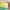 https://res.cloudinary.com/billionhands/image/upload/v1781817143/items/ay89zzxb2chuuggn8tui.jpg-2cover