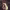 https://res.cloudinary.com/billionhands/image/upload/v1781817218/items/ieajwpzx3hxt6ru3ml7m.jpg-0cover
