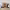 https://res.cloudinary.com/billionhands/image/upload/v1781817816/items/mzy0mvrhfaeogxzeoyrp.webp-1cover